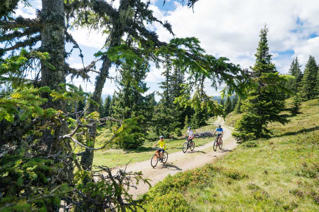 Biketour rund um Piesendorf