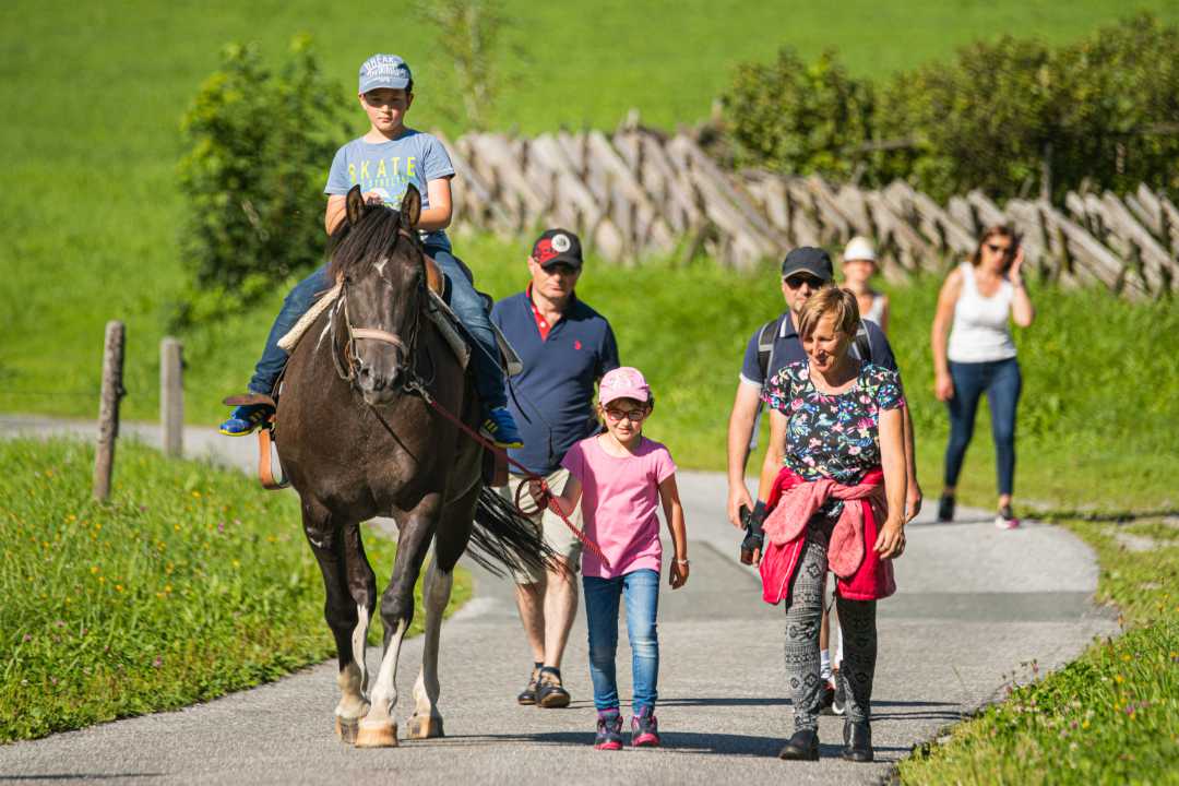 Familienwanderung mit Pferd